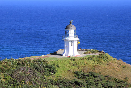 New Zealand - Welcome to Paradise